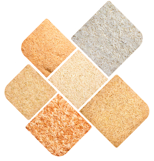 Hơn 35 năm đồng hành cùng thế giới, lan tỏa giá trị và niềm tin